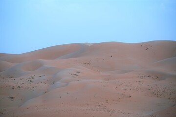 sand dunes in the desert