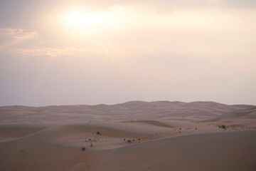 Fototapeta na wymiar sunset in liwa desert