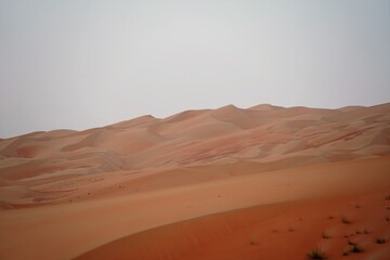 Naklejka premium liwa desert in emirates