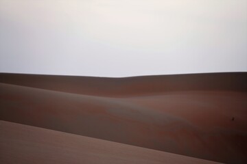 sunset desert landscape in the desert
