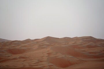 Naklejka premium desert landscape in the desert