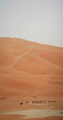 sand dunes in liwa desert, uae