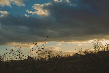 Processed with RNI Films. Preset 'Agfa Optima 200 Warm'