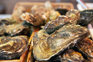 Fresh oysters sale on outdoor market in Sicily, soft focus. Restaurant delicacy. Saltwater oysters