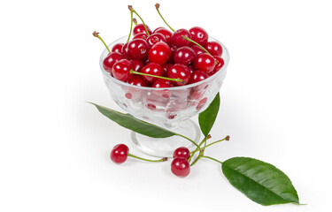 Sour cherries in the glass cup and cherry tree leaves