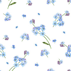 Seamless pattern. Painted flowers of blue forget-me-nots are collected in a rapport on a white background.