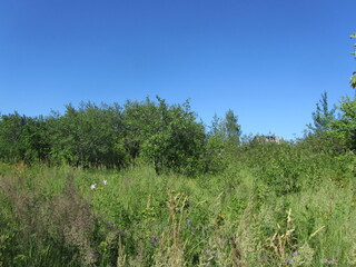 Obraz premium товарищ