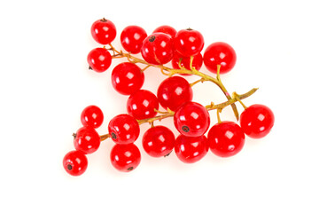 Sweet tasty fresh Red currant