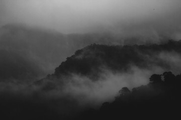 misty morning mist in Hinterland Australia