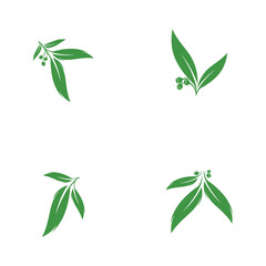 Eucalyptus leaves logo vector template design