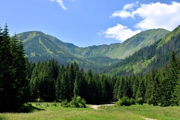 Szlak Papieski w Tatrach Zachodnich. Żółty szlak w Dolinie Chochołowskiej