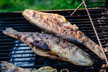 Grilled Sea Bass on a charcoal grill