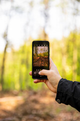 Taking a picture with a phone in the forest by a man