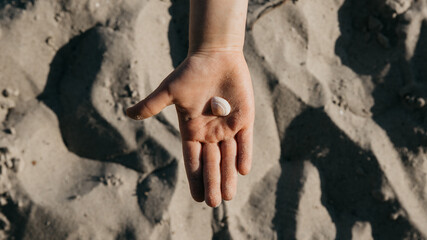 Beach vacation - Child's hand showing a shell found on the sea shore