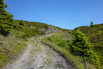 A gravel path going up on the Alps in the Piz Beverin National Park in Switzerland