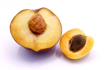 Peach and apricot sliced closeup on a white background