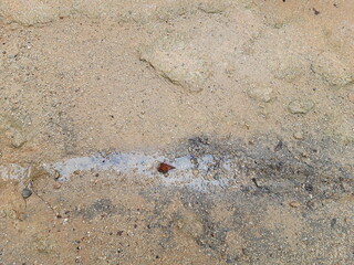 wonderful rainwater wet soil texture 3