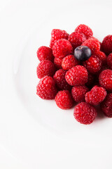 One blueberry on bed of raspberries