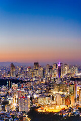 Fototapeta na wymiar Famous Destinations. Night View of Picturesque Tokyo Skyline at Golden Hour With Fuji Mountain in Background.