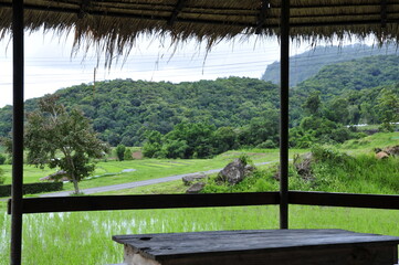 rice field view from a wooden house.