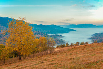 Beautiful morning landscape with autumn foggy mountains.