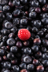 Odd one out raspberry on blueberries
