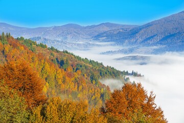 Beautiful morning landscape with autumn foggy mountains.