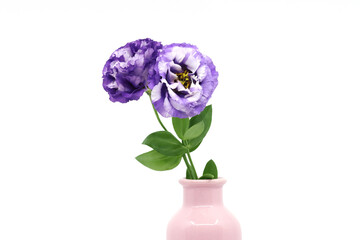 beautiful purple lisianthus