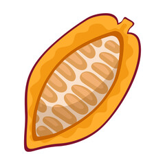 Cocoa bean isolated cartoon illustration icon. Vector illustration chocolate fruit on white background. Vector cartoon icon cocoa bean.