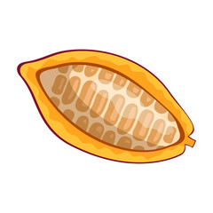 Cocoa bean isolated cartoon illustration icon. Vector illustration chocolate fruit on white background. Vector cartoon icon cocoa bean.