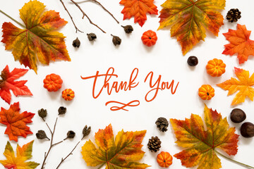 Beautiful Calligraphy Of English Text Thank You. Frame Of Bright Colorful Autumn Leaf Decoration.
