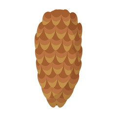 Cone pine isolated cartoon icon. Vector illustration spruce pinecone on white background. Vector cartoon illustration icon cone pine.