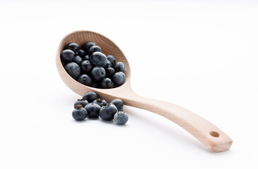 Arándano negro (Vaccinium uliginosum) sobre fondo blanco.