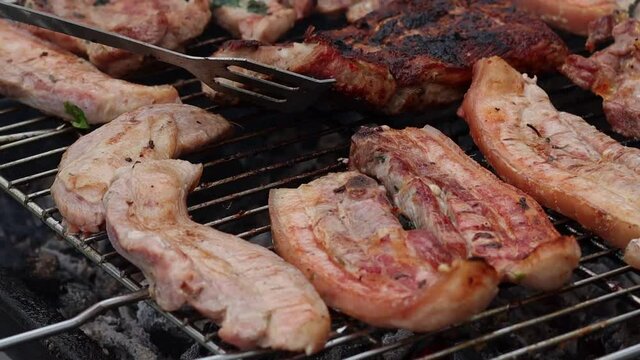 grilled meat on the grill