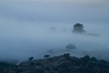 Paisaje de nieblas al amanecer en Sierra Morena