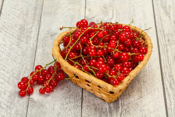 Sweet tasty fresh Red currant