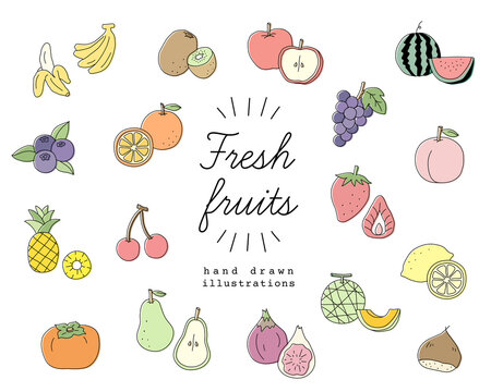 手書きのフルーツのイラスト素材のセット／果物／おしゃれ／かわいい