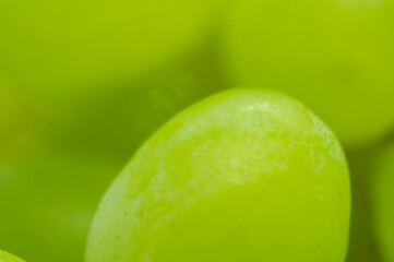 Green grape close-up. Green fruit background
