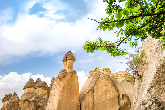Trees and mushroom shaped fairy chimney rock formations seen in Devrent or Imagination Valley near the towns of Urgup, Aktepe, Zelve, and Goreme in Cappadocia, Turkey