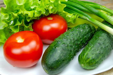 beautiful fresh, juicy vegetables on a white plate: fresh peppers, tomatoes, cucumbers, lettuce, dill, green onion
