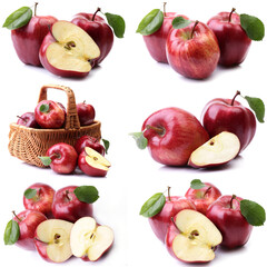 Red apples on white background