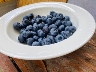 The blueberry is on the white plate on the wood