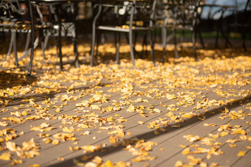 table chairs cafe outside park trees autumn