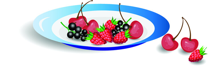 Ripe berries - cherries, raspberries and black currants in a blue plate. Vector illustration for design.