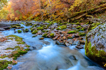 River flowing in the Ordesa Valley (colorful autumn landscape)