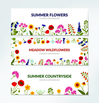 Set of horizontal summer banners with wildflowers, including yarrow, Echinacea, poppy, snapdragon, lady's purse. Vector illustration