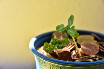 Growing money - investments for coins - financial and investment concept