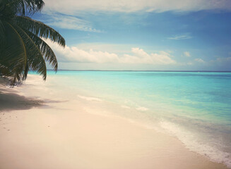 Fototapeta na wymiar Tropical Maldives beach with coconut palm trees and blue sky.