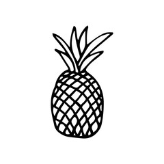 Pineapple line Icon. Trendy Tropical Element. Vector Graphics. Isolated. Drawn by hand