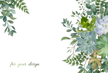 Beautiful background with Succulent flowers. Vector illustration. EPS 10.